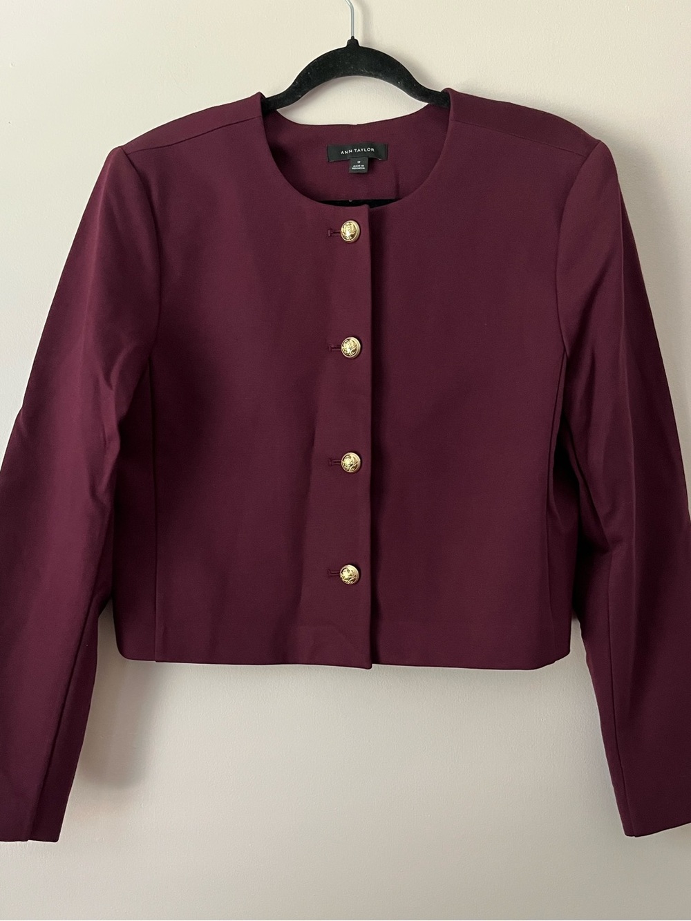 Crew Neck Jacket Blazer Ann Taylor Mulberry Size 12